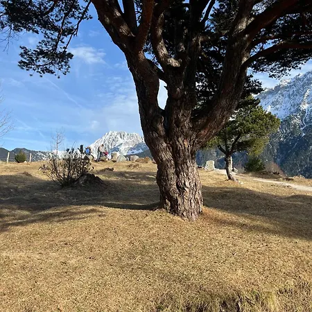 Engelsherz Апартаменты *